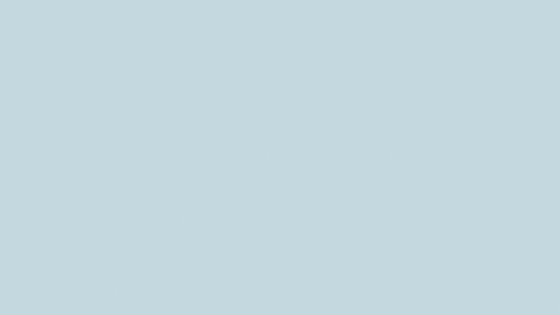 100%x280