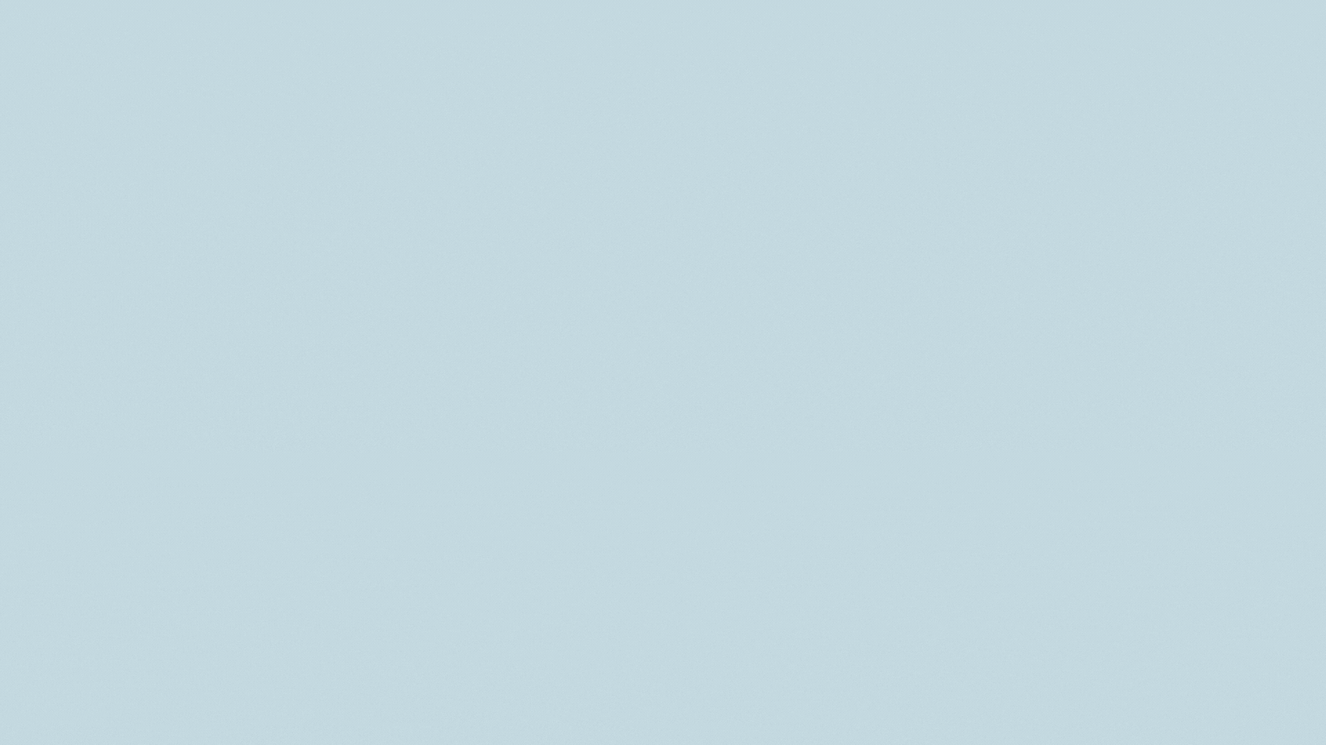 100%x280