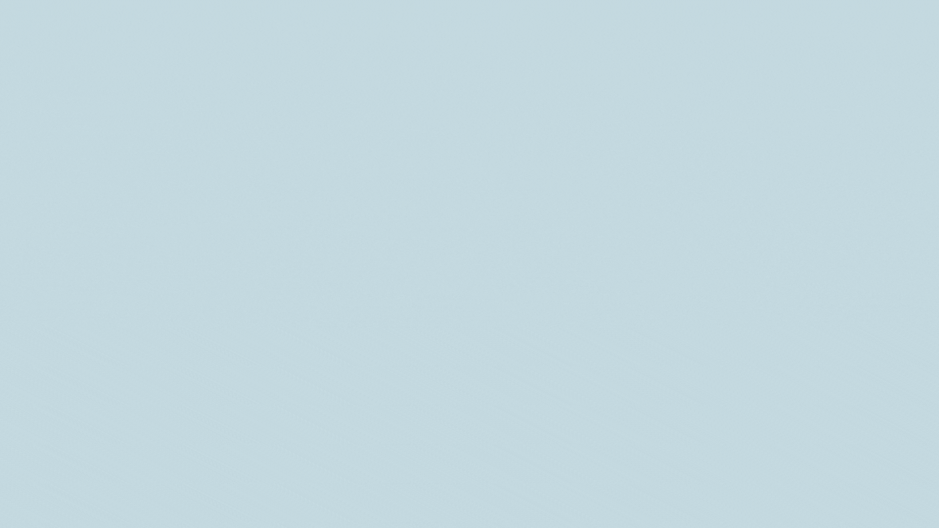 100%x280